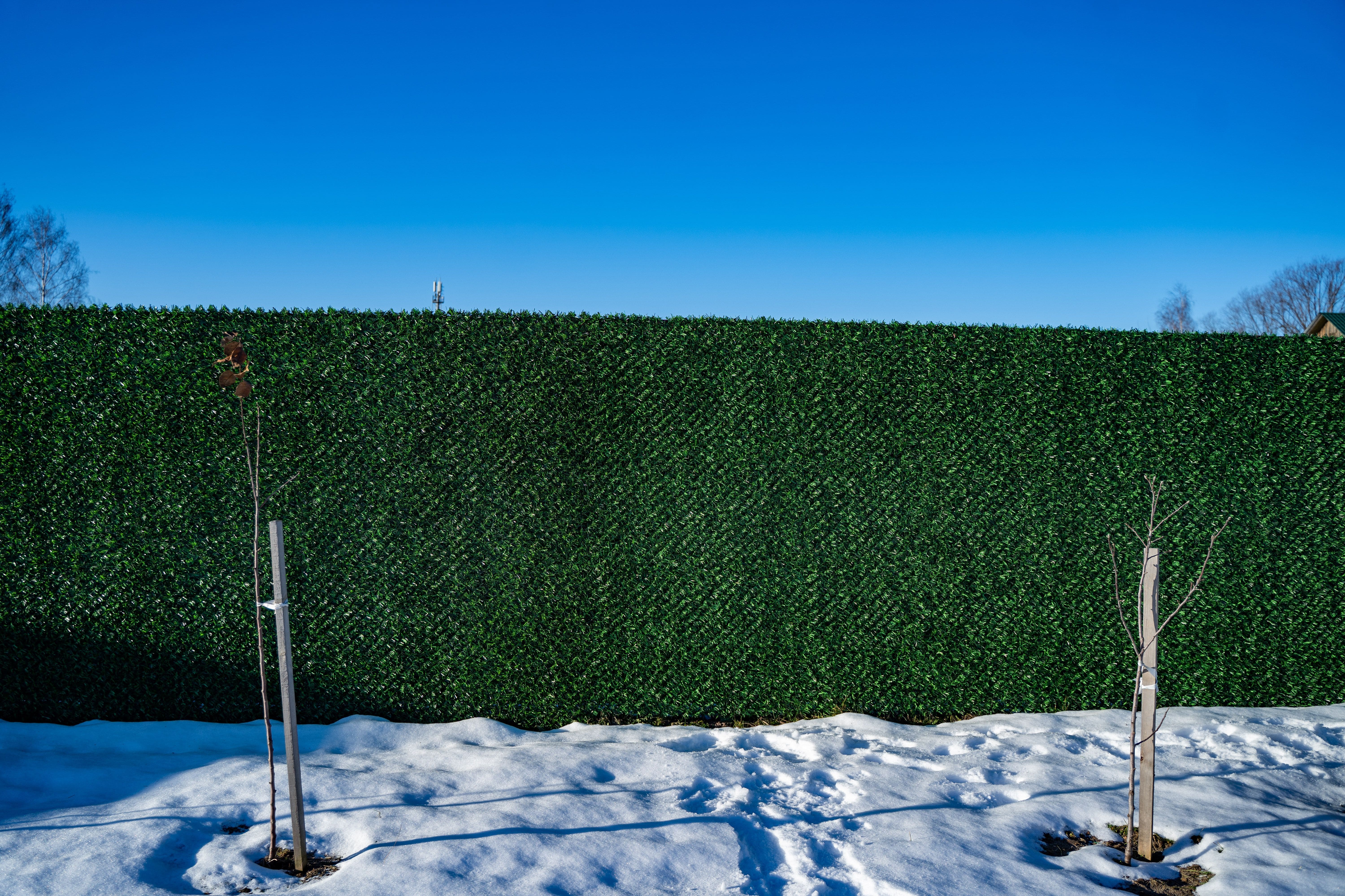 Вечнозеленый забор Grass Fence рулон 2м фото 8 в Казани